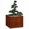 Product Thumbnail Image 3 of 10