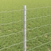 Product Thumbnail Image 4 of 7