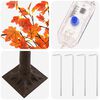 Product Thumbnail Image 5 of 7