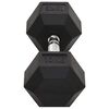 vidaXL Dumbbells 2 pcs 20 kg Total Cast Iron