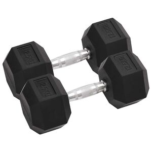 vidaXL Dumbbells 2 pcs 12.5 kg Total Cast Iron
