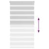 Product Thumbnail Image 5 of 16