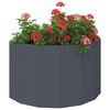 Product Thumbnail Image 3 of 12