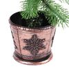 Product Thumbnail Image 3 of 12