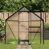 vidaXL Greenhouse with Base Frame Anthracite Aluminium 5.89 m&sup2;