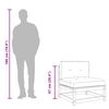 vidaXL Garden Sofas Armless with Cushions 2 pcs Solid Wood Douglas
