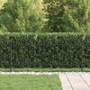 Product Thumbnail Image 3 of 8