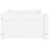 Product Thumbnail Image 6 of 8