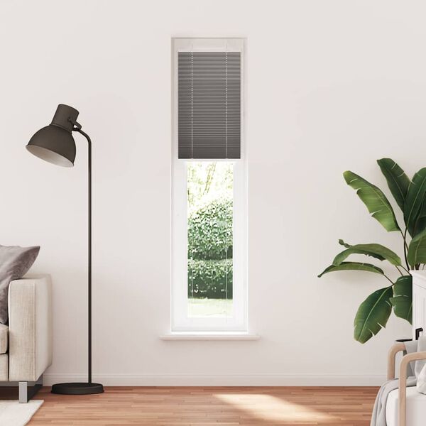vidaXL Pleated Blind Anthracite 50x200 cm Fabric Width 49.4 cm Polyester