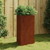 Product Thumbnail Image 2 of 10