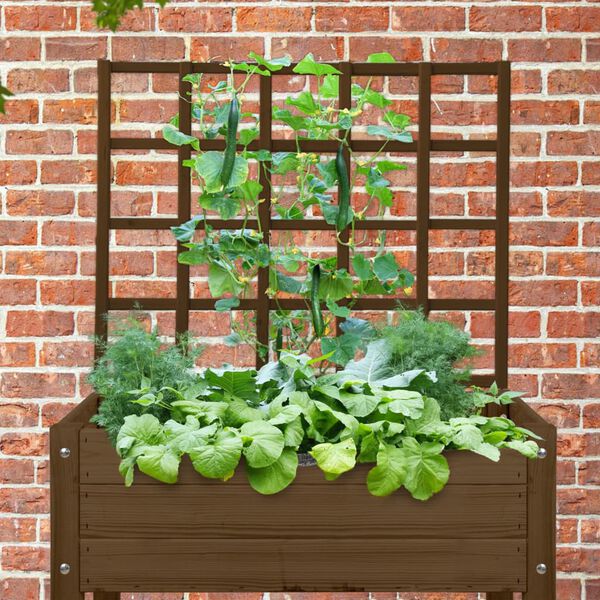 Esschert Design Raised Bed Trellis Brown S