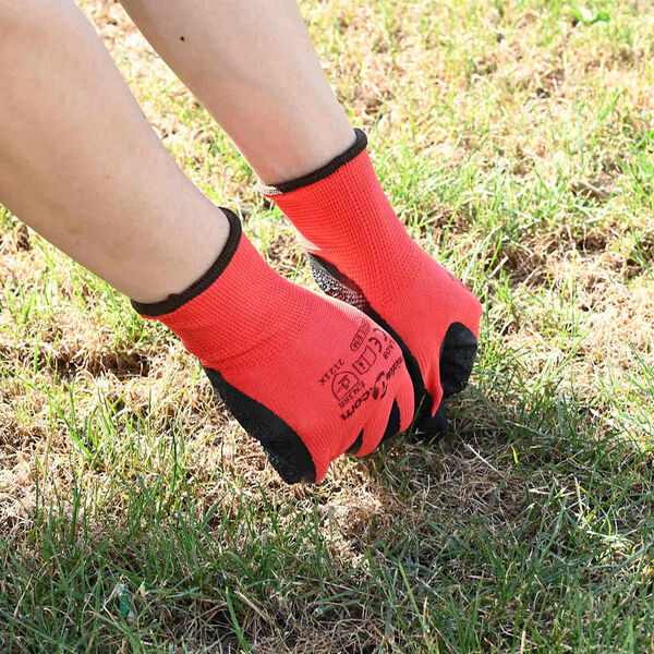 Showing Product Image 2 of 10