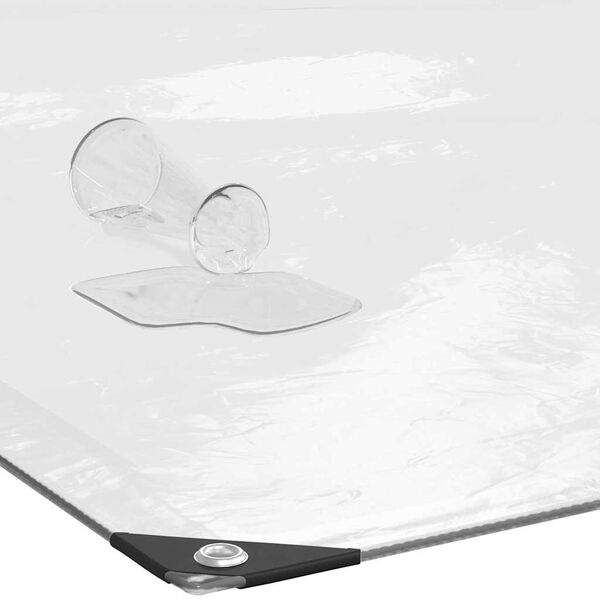 vidaXL Clear Tarpaulin with Eyelets 3x10 m Polyethylene