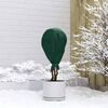 Product Thumbnail Image 4 of 12