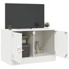 vidaXL TV Cabinet White 67x39x44 cm Steel