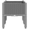 Product Thumbnail Image 5 of 7