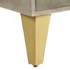 vidaXL Coffee Table Solid Mango Wood Grey with Brass 110x60x35 cm