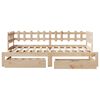 vidaXL Daybed with Trundle and Drawers without Mattress 90x190 cm Single
