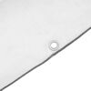 vidaXL Clear Tarpaulin with Eyelets 4x10 m Polyethylene
