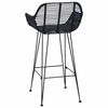 vidaXL Bar Chair 2 pcs Black 55 x 52 x 92 cm Rattan and Iron