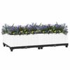 vidaXL Raised Bed 80x40x23 cm Polypropylene