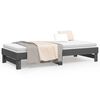 vidaXL Pull-out Day Bed without Mattress Grey 2x(100x200) cm