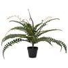 Product Thumbnail Image 3 of 6