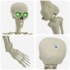 vidaXL Halloween Skeleton White Plastic
