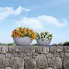 LECHUZA Planter CUBETO Stone 30 ALL-IN-ONE Stone Grey 13830