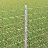 Product Thumbnail Image 4 of 14