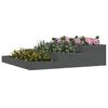 Product Thumbnail Image 3 of 7