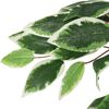 Product Thumbnail Image 3 of 5