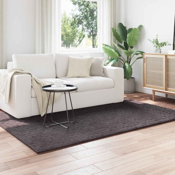 vidaXL Area Rugs Rectangular Anthracite 200 x 140 cm