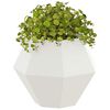 vidaXL Planter White 50 x 50 x 40 cm Steel