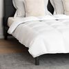 vidaXL Duvet Set with Pillow 3 pcs White Down Feather