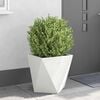 Product Thumbnail Image 4 of 12
