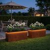 Product Thumbnail Image 3 of 16