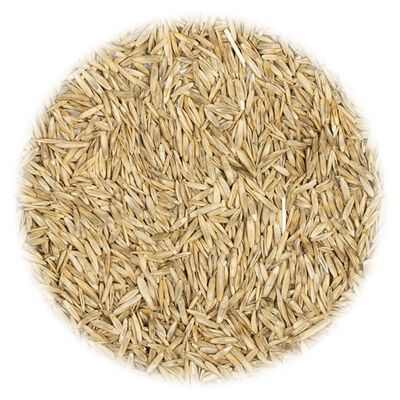 vidaXL Grass Seed for Dry and Heat 10 kg