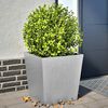 Product Thumbnail Image 2 of 13