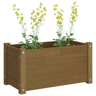 vidaXL Garden Planters 2 pcs Honey Brown 60x31x31 cm Solid Pinewood
