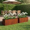 Product Thumbnail Image 2 of 11