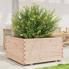 vidaXL Garden Planter 90x90x49.5 cm Solid Wood Pine