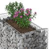 vidaXL Gabion Raised Bed Silver 50 x 100 x 60 cm Galvanised Steel