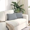 vidaXL Sofa Pillows 2 pcs Light Grey 50 x 30 cm Fabric