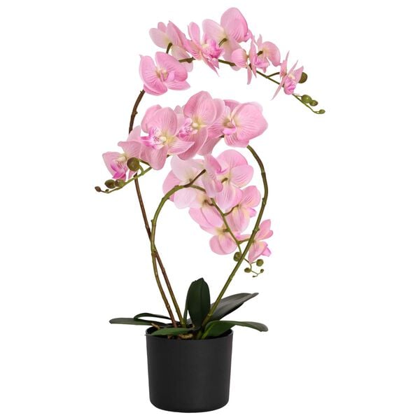 Showing Product Image 1 of 4