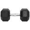 vidaXL Dumbbells 2 pcs 20 kg Total Cast Iron