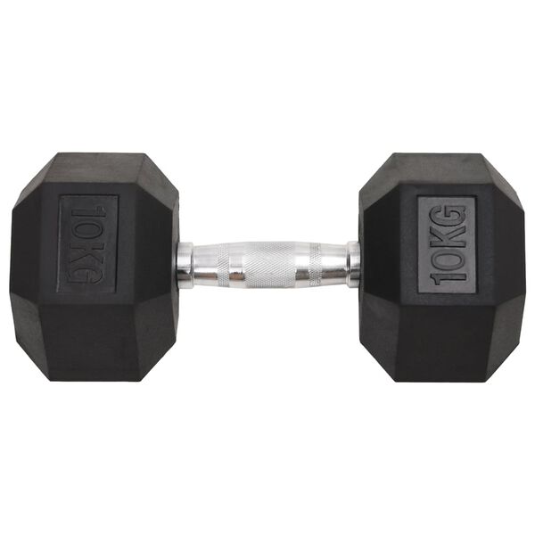vidaXL Dumbbells 2 pcs 20 kg Total Cast Iron
