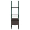 Product Thumbnail Image 4 of 7
