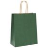 vidaXL Paper Bags 250 pcs with Handles Green 18x8x22 cm