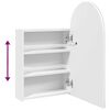 vidaXL Bathroom Mirror Cabinet with LED Light Arched White 42x13x70 cm